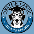 Einstein Canine Dog Training