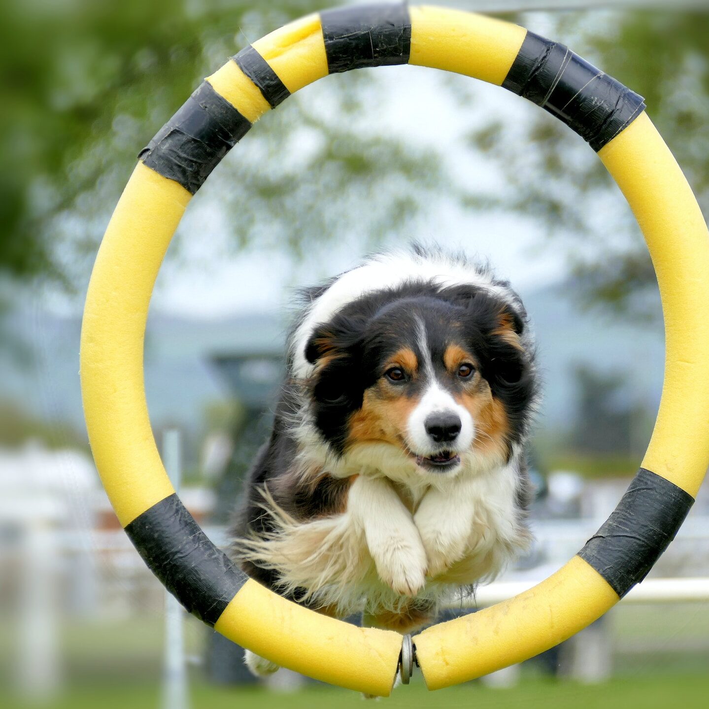 andrea-lightfoot-IrZ5xXXCsn4-unsplash (8)